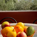 Adriana - Zupa Dubrovacka -dubrovnik 아파트 *
