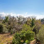 Adriana - Zupa Dubrovacka -dubrovnik 믈리니
