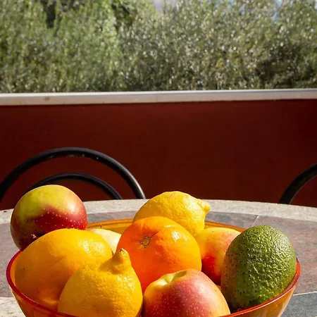 Adriana - Zupa Dubrovacka -dubrovnik Апартаменты *