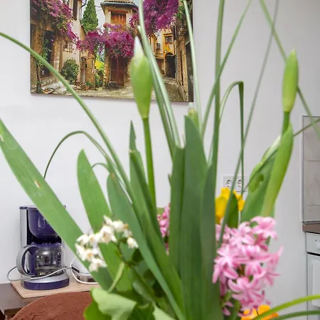 Adriana - Zupa Dubrovacka -dubrovnik