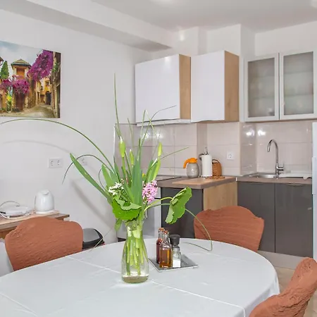 Adriana - Zupa Dubrovacka -dubrovnik Апартаменты